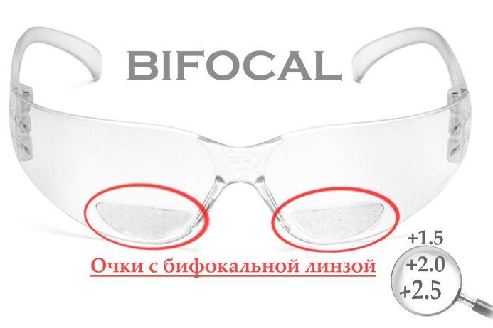 Бифокальные защитные очки Pyramex Intruder Bifocal (+2.0) (clear) прозрачные 2ИНТРБИФ-10Б20 фото