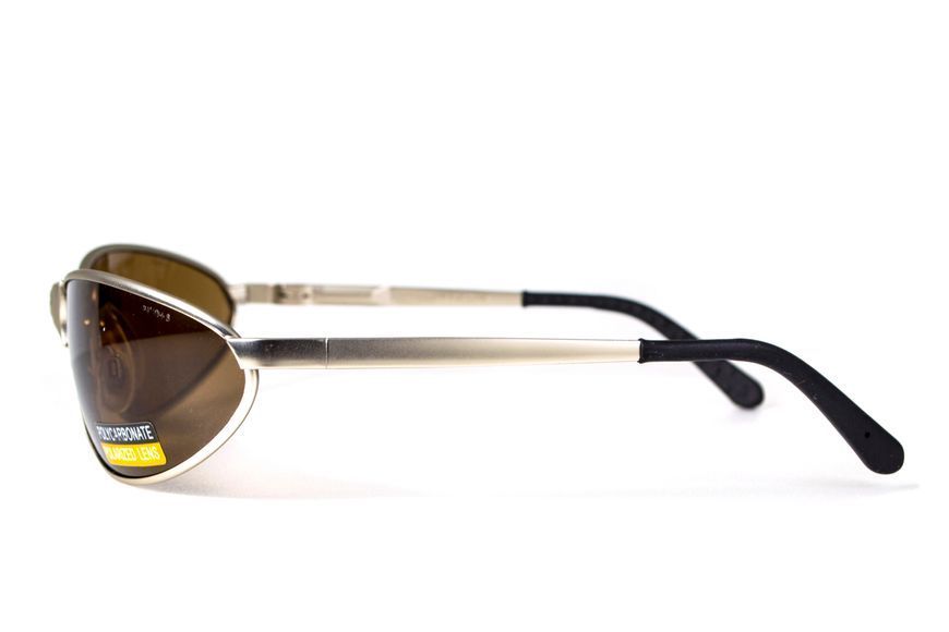 Защитные очки с поляризацией Black Rhino i-Beamz Polarized (brown), коричневые GV-IBEAM-BR2 фото