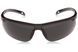 Очки защитные открытые Pyramex Ever-Lite (Anti-Fog) (dark gray) черные 2ЕВЕРАФ-23 фото 2