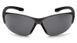 Очки защитные открытые Pyramex Trulock (gray) Anti-Fog PM-TRLK-GR1 фото 2