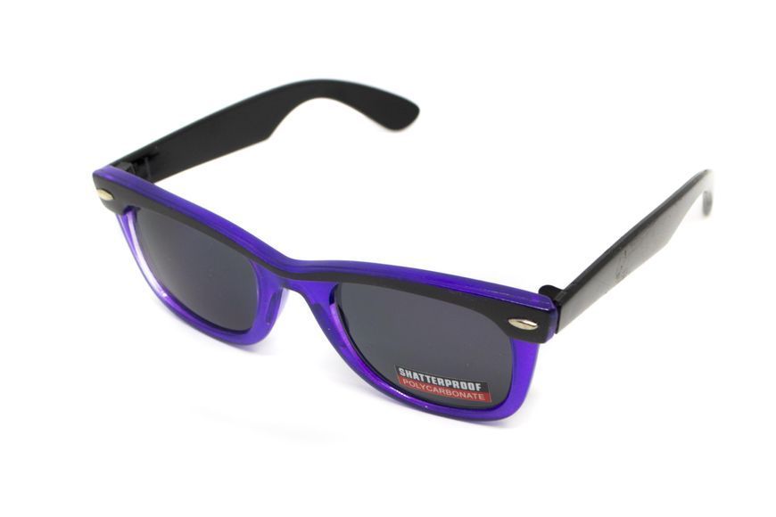 Очки защитные открытые Swag Hipster-4 Purple (gray) серые SW-HIPSPPL-GR фото